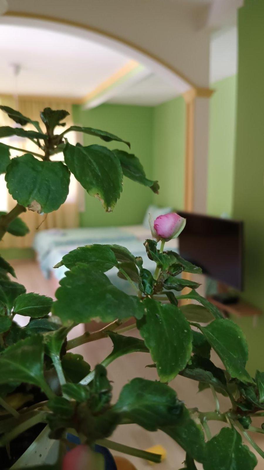 Villa Re3Ca Скопье Экстерьер фото