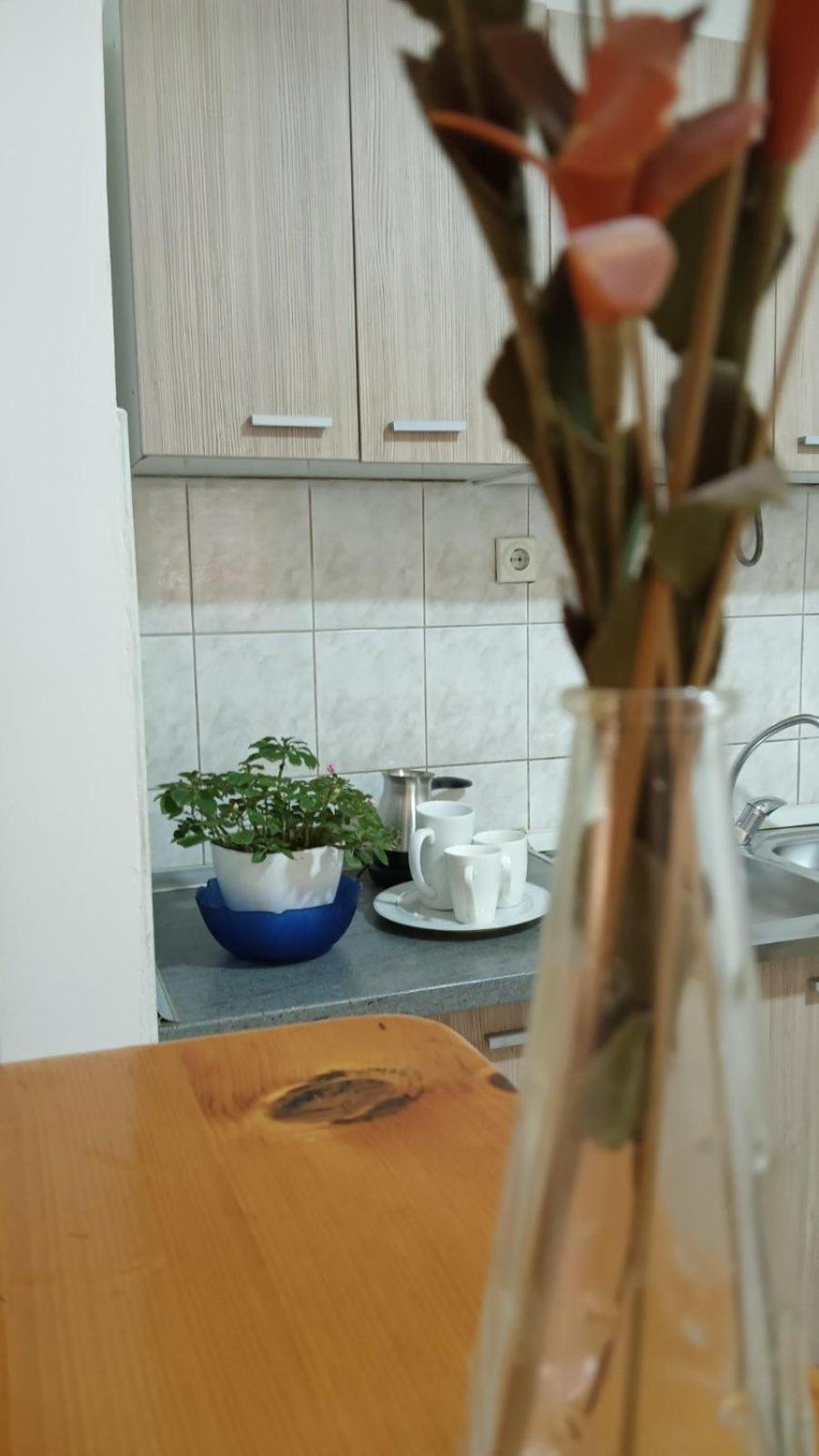 Villa Re3Ca Скопье Экстерьер фото